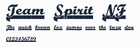 Team Spirit NF