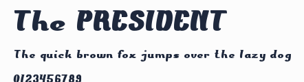 The PRESIDENT