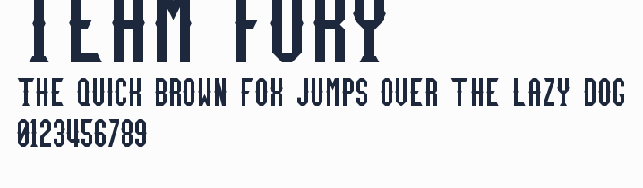 Team Fury