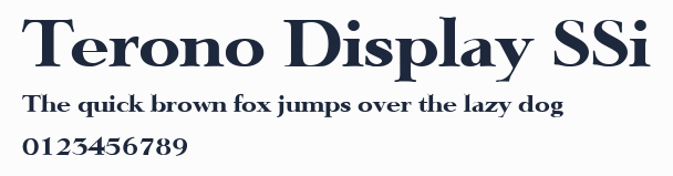 Terono Display SSi