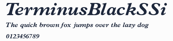 TerminusBlackSSi