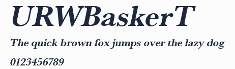 URWBaskerT