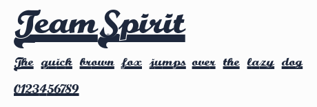 TeamSpirit