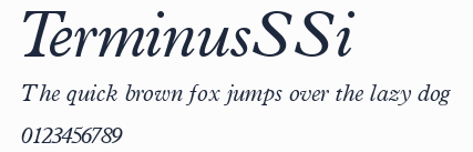 TerminusSSi