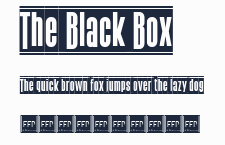 The Black Box預覽圖