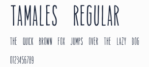 Tamales Regular