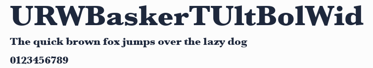 URWBaskerTUltBolWid預覽圖