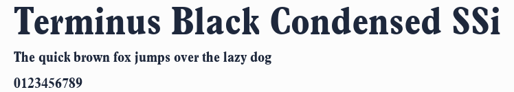 Terminus Black Condensed SSi