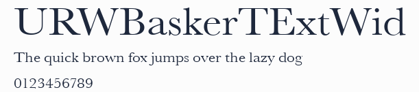 URWBaskerTExtWid
