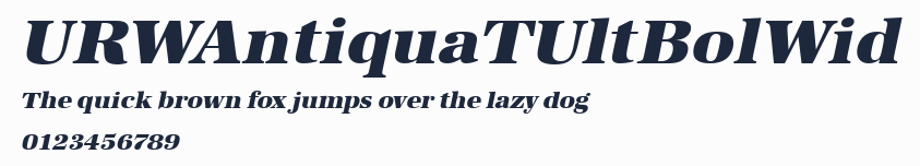 URWAntiquaTUltBolWid