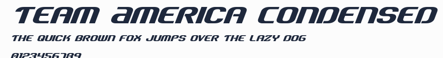 Team America Condensed