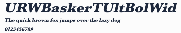 URWBaskerTUltBolWid