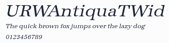 URWAntiquaTWid