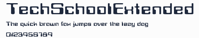TechSchoolExtended