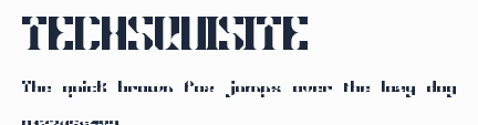 TECHSQUISITE