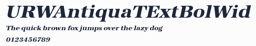 URWAntiquaTExtBolWid