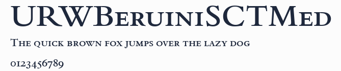 URWBeruiniSCTMed