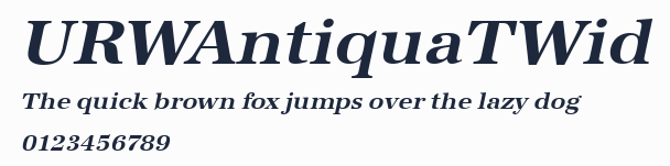 URWAntiquaTWid