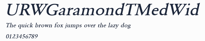 URWGaramondTMedWid
