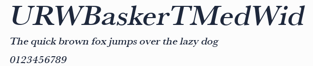 URWBaskerTMedWid