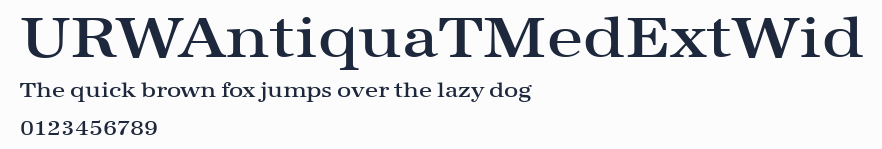 URWAntiquaTMedExtWid